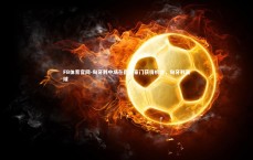 FB体育官网-匈牙利中场在欧洲豪门获得机会，匈牙利赢球