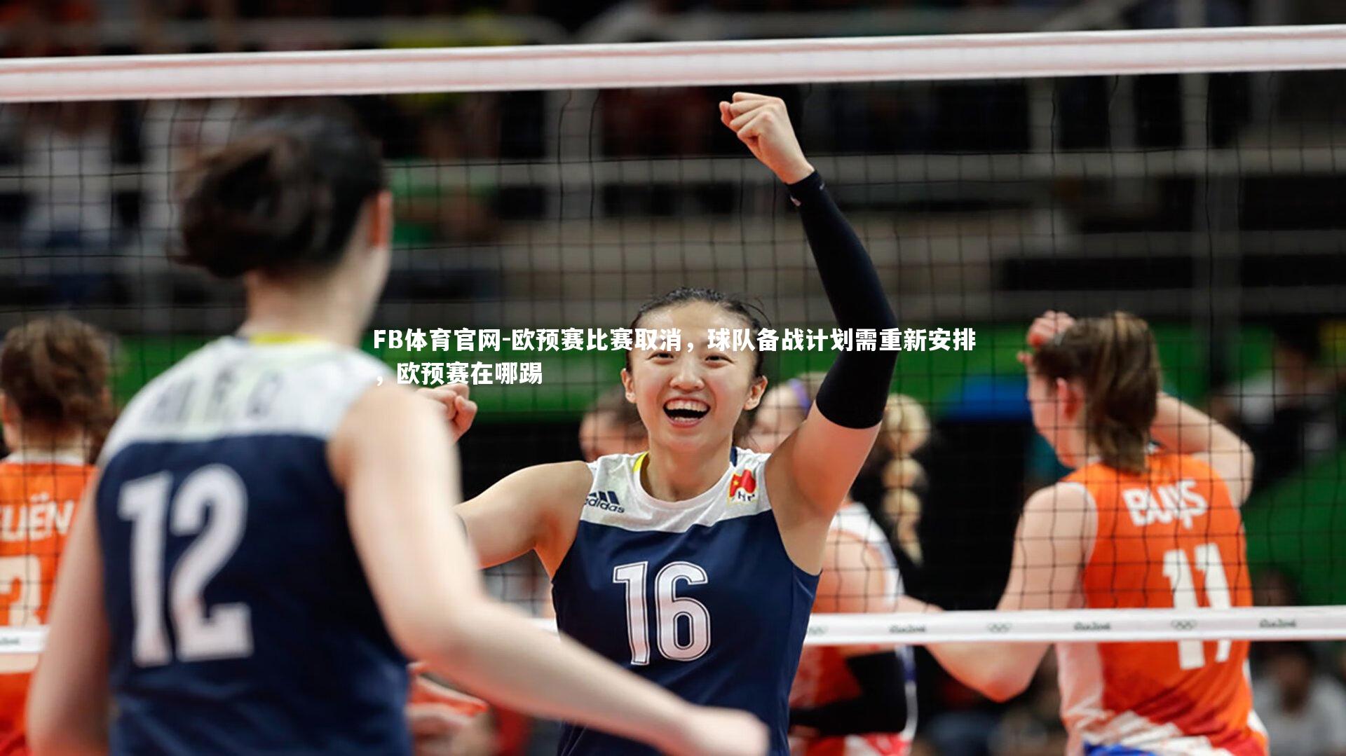 欧预赛比赛取消，球队备战计划需重新安排，欧预赛在哪踢