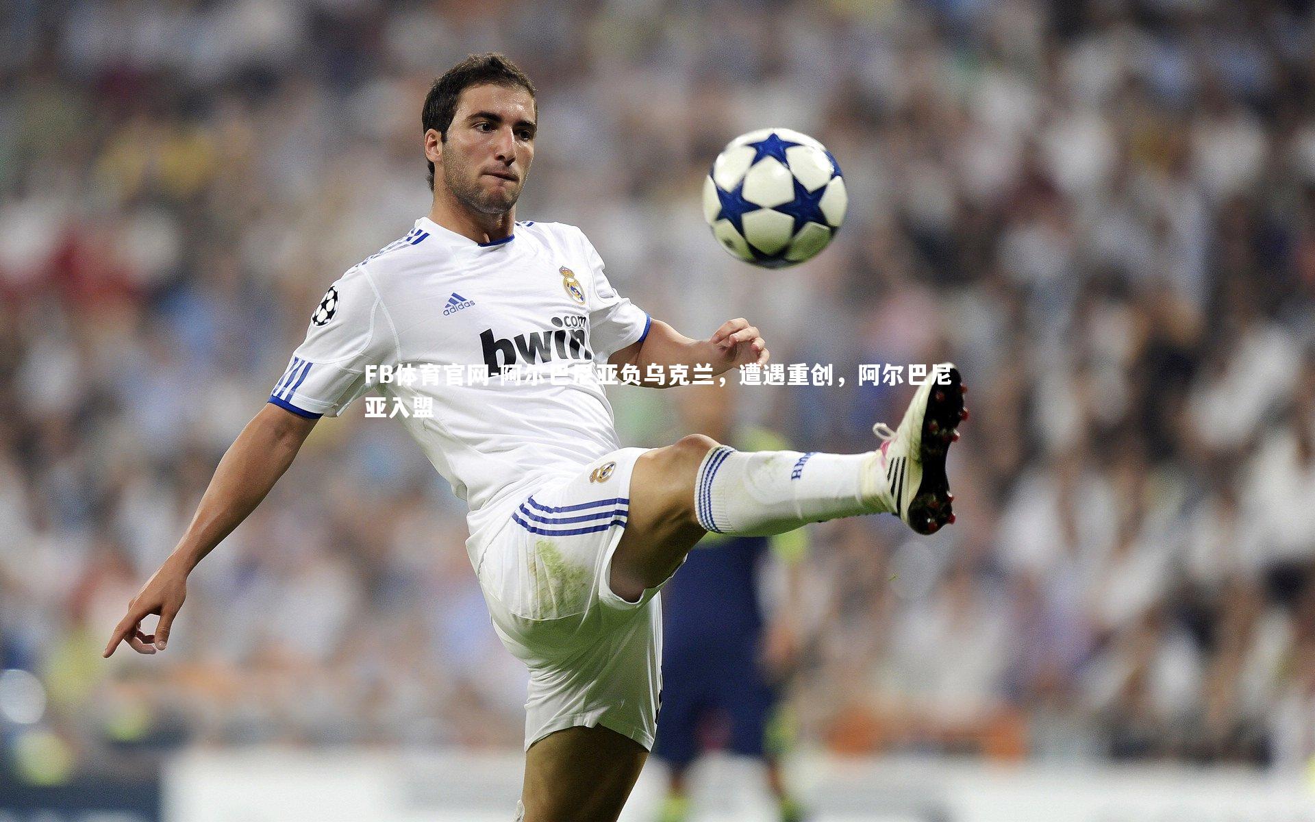 阿尔巴尼亚负乌克兰，遭遇重创，阿尔巴尼亚入盟