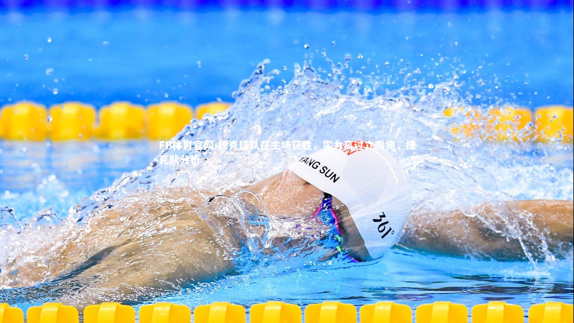 捷克球队在主场获胜，实力高过立陶宛，捷克队分析